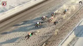 الأجتماع ( 6 ) الشوط ( 4 ) الجواد دلهام / أسطبل البدين