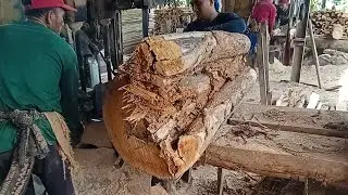 menggergaji kayu busuk separuh