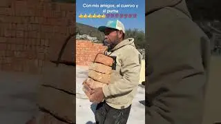 16 de enero de 2026