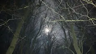 Full Moon Experience Sunday 1st February 2026. (Episode 1) Ravens Wood. #thingsheardandseen 
