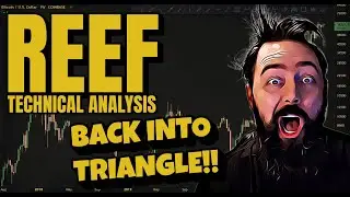 THE CLIMB HAVE STARTED!!! - Reef Finance Analysis And Price Prediction.