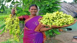 Couseberry Thokku Recipe | Village Style Pickle Making | Side Dish For Curd Rice | Side Dish Recipes