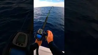 $1,600 Electric Reel Gets Put to The TEST! #deepseafishing #bigfish #catchoftheday
