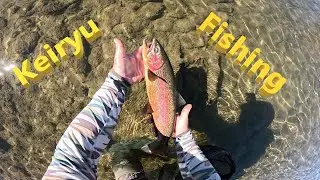 Keiryu fishing with live bait #fishing #keiryu #trout #troutfishing #nature #outdoors #fish #river