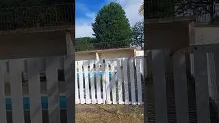 Habitation + gites sur 3 ha Etang Piscine