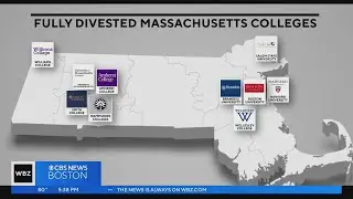 Student activism pushes colleges to divest from fossil fuels