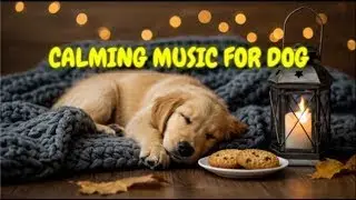 12 HOURS of Sleep Music for Dogs With Anxiety 🐕🎵 | Comfort Pets Left Alone and Help Them Rest