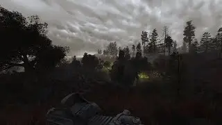 STALKER ANOMALY TESTING (SEE DESCRIPTION FOR FEATURES)