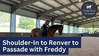 Shoulder-In to Renver to Passade with Freddy