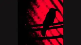 A Silver Mt. Zion - 