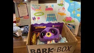 BarkBox July 2020