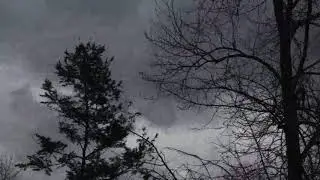 Dark Storm Clouds Over a Silent Forest
