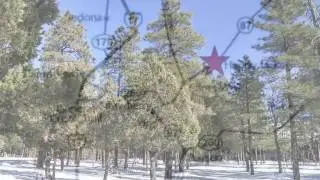Lot 524 Horseshoe Dr. Starlight Pines