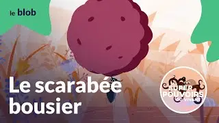 Le scarab&eacute;e bousier-taureau, petit mais costaud | Les super-pouvoirs du vivant