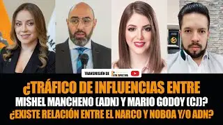 MÓNICA PALACIOS DENUNCIA TRÁFICO de INFLUENCIAS entre MISHEL MANCHENO (ADN) y MARIO GODOY (CJ)