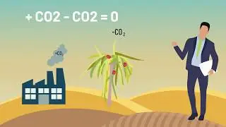Progetto Deserto Verde 2020/2025 - Sustainable Economy Association