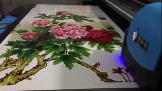 Wanlida Printing videos 17