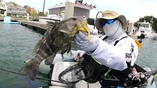 FLOAT TUBE FISHING FOR SPOTTED BAY BASS - 