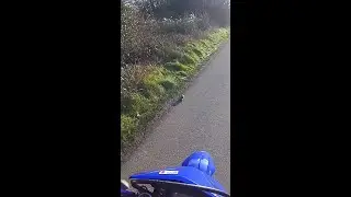 Biker pets friendly wild rat! #SHORTS
