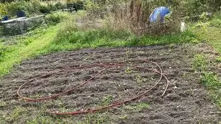 Steve&rsquo;s Allotment - September Plot Tour (109)