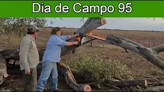 #95 - El Loco de La Motosierra