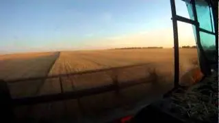 Wheat Field Harvest in A Gleaner R72 Combine.  25x Speed.