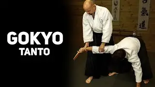 GOKYO - Tanto dori        Duda Radosław Aiki TenShin Dojo Project