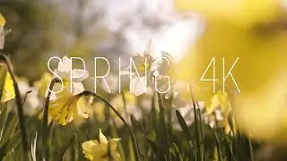 Spring 4K