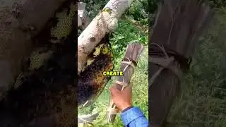 Как пчеловоды избегают укусов пчел