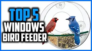 ✅Top 5 Best Windows Bird Feeder in 2024