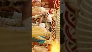 A Beautiful South Indian Wedding Journey! ✨Pradeep & Rishitha #wedding #highlights