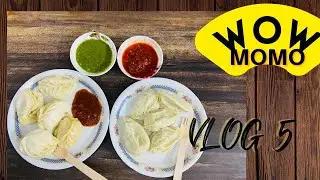 VLOG 5| Eating Wow Momo at home| Daily Vlog| Evening hunger pangs satisfied |Dr Rusha Mandal
