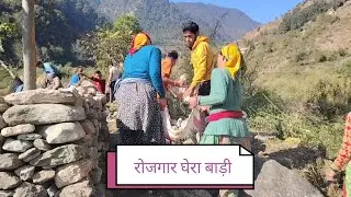 रोजगार विकास और गाँव की एकता Employment, development and village unity #minivlog #pahadwasi ✊