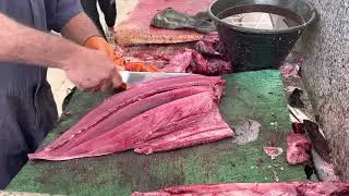 Solid Red Meat Tuna Amazing Slicing। Fastest Red Meat Tuna Cutting Skill 2022। Wow Tuna Cutting 2022