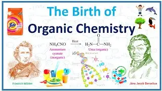 The Birth of Organic chemistry