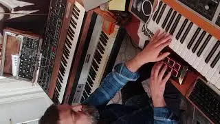 Prophet 5 rev4 meets Moog One and Akai MPX8 // Right hand on drums, Left hand on Pads and Bass