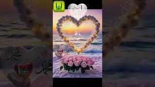 islamic.tv#ytshorts #love #viralvideo #like #qisam