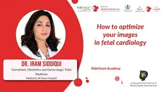 How to Optimize Fetal Cardiology Imaging | KidsHeart UAE &ndash; Dubai, Abu Dhabi, Al Ain
