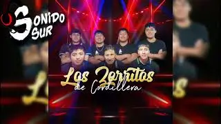 Los Zorritos De Cordillera🎶🎵Lo Nuevo 2024 Sonido Sur🎵🎶