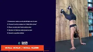 LE WALL WALK / WALL CLIMB