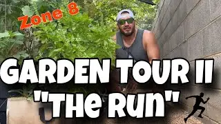 Garden Tour Part 2 - The Run - Zone8