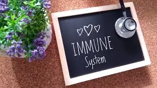 Natural Ways to Boost Seniors&rsquo; Immune Systems