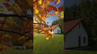 Dřevostavba, kde se c&iacute;t&iacute;te opravdu doma 🌲
