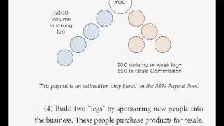 Synergy Compensation Plan ( Simple version)