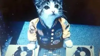 the partysquad billy the kit sunset by dj anskew feat @irenerubia98