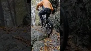 Schwalbe Radial 🔥