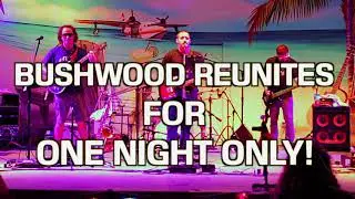 BUSHWOOD RETURNS! 4/6 @ MVILLE!! ONE NIGHT ONLY!!!