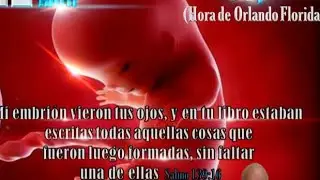Aborto derecho legal  &oacute; violaci&oacute;n al dise&ntilde;o de Dios   IA DEBATE