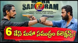 Maha Samudram 6 Days Collections|Maha Samudram 6 Days Total Collections | Maha Samudram Collections