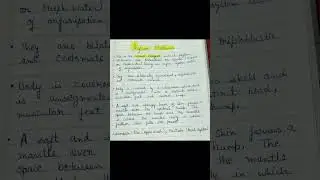 Topic - Phylum - Mollusca ( Class- 11) Chapter-  Animal kingdom